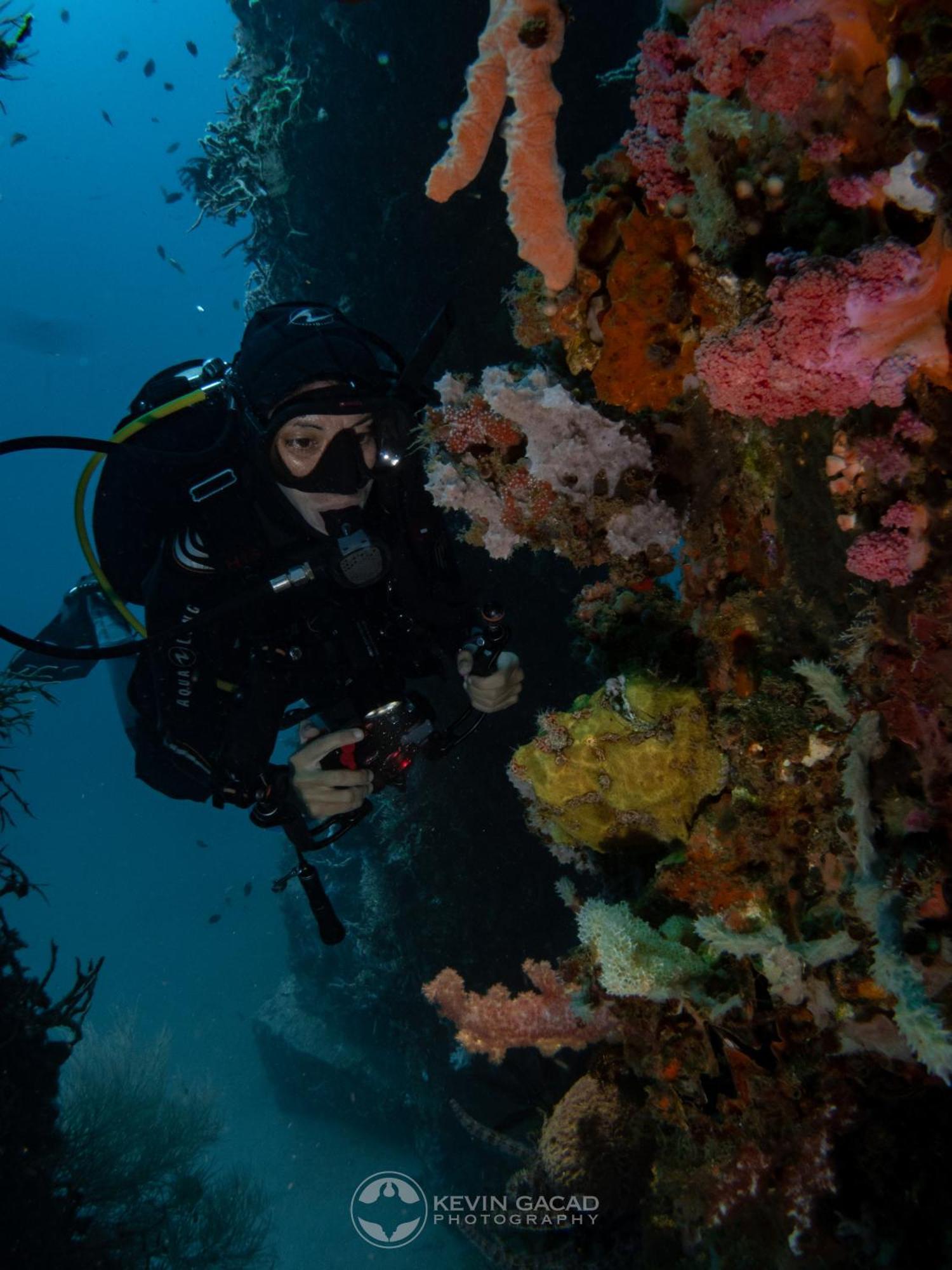 Vitaminsea Room Dauin Exterior photo