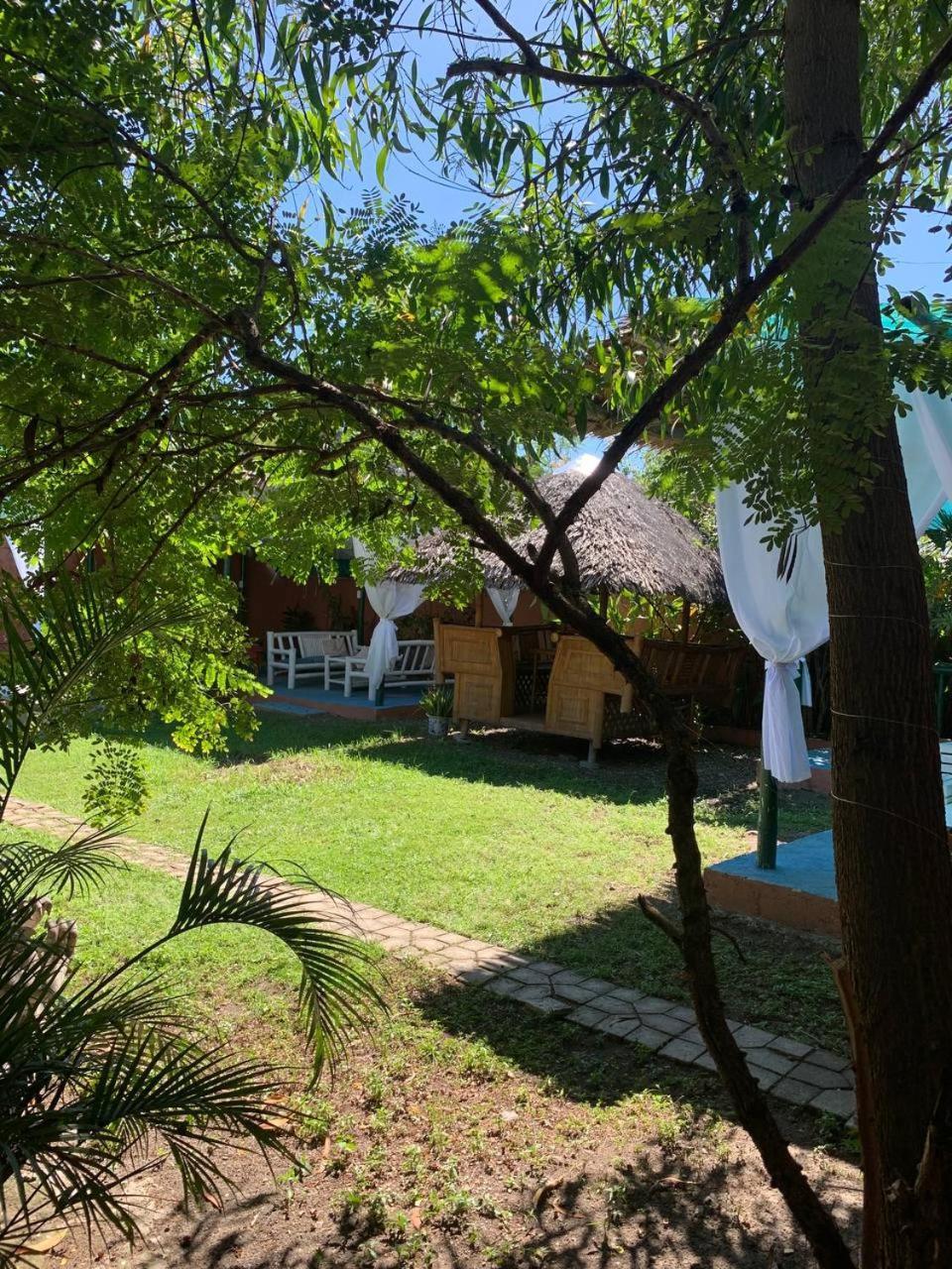 Vitaminsea Room Dauin Exterior photo